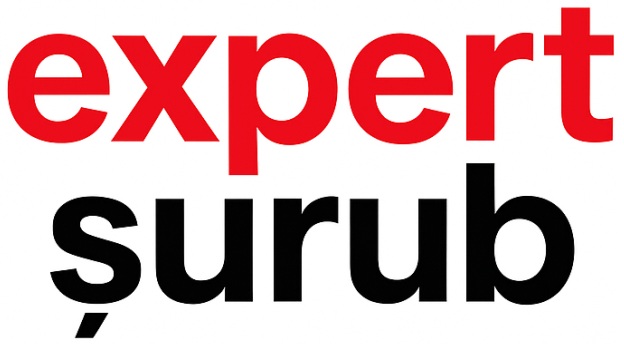 logo-expert-surub